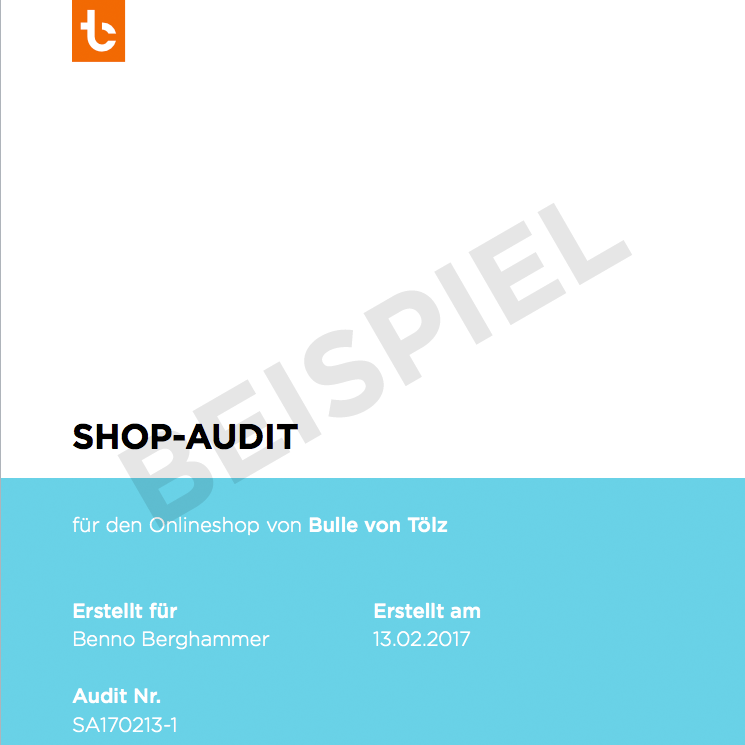 Shop-Audit